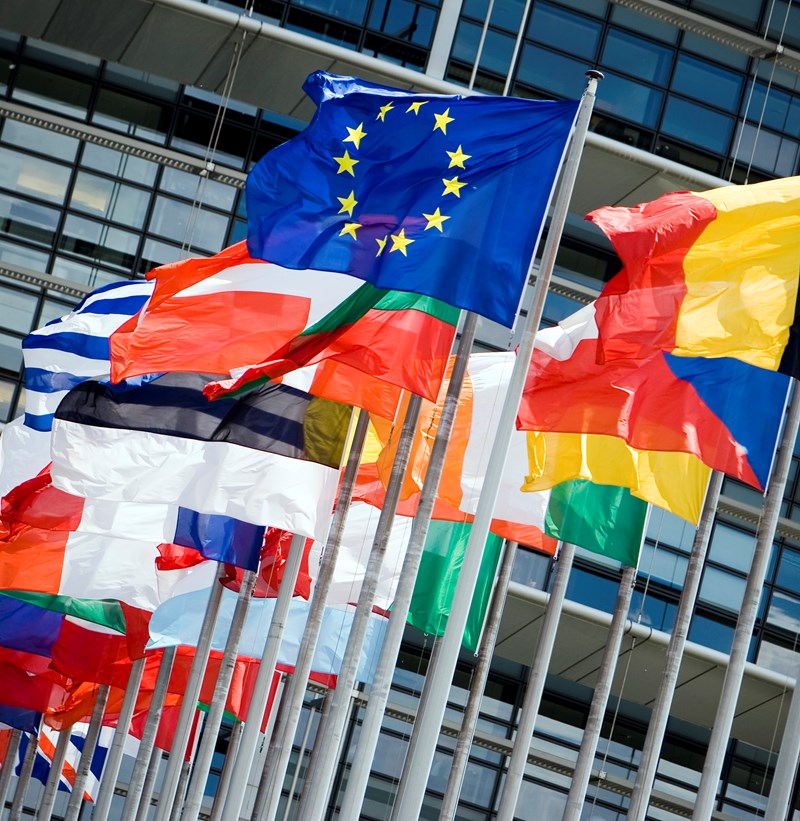 Regeling fiscale eenheid in strijd met Europees recht